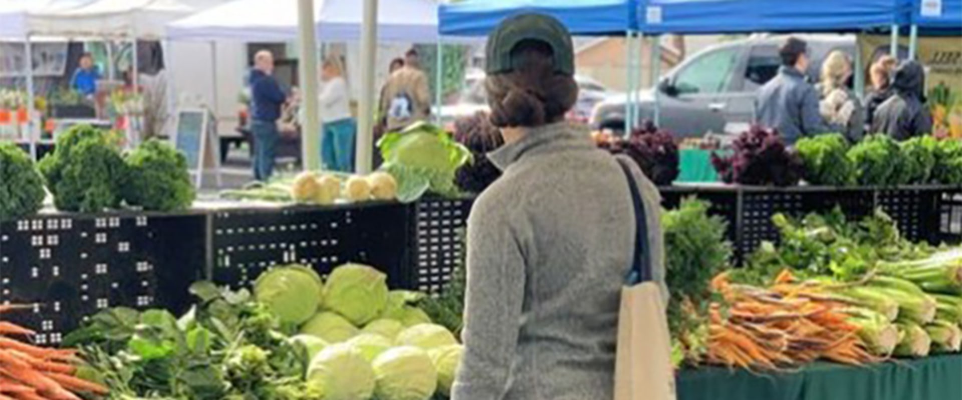 Who kicked the dogs out? Dogs no longer allowed at Haggin Oaks Farmers  Market